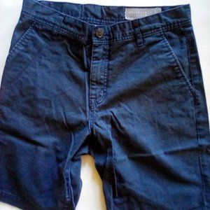 Standard Cloth shorts sz 30 Urban Outfitters BLUE